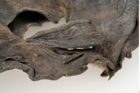 Etikett zu Bronzeringgriffmesser (NHMW-PRAE-073842)